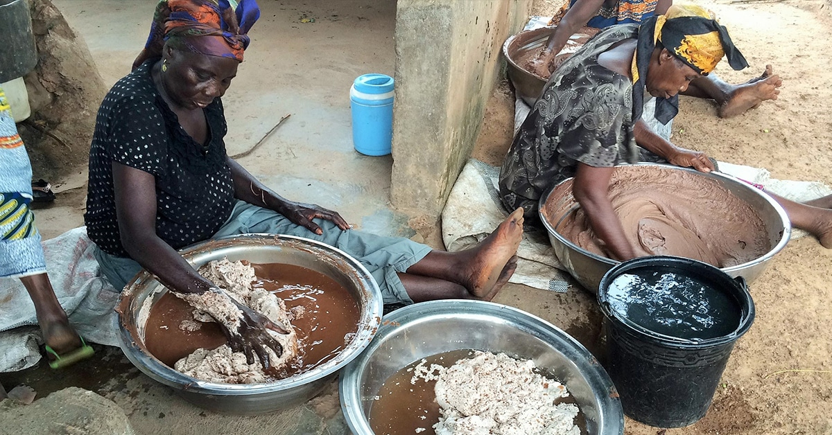 Shea Processors call for ban on export of raw shea-nuts in Ghana