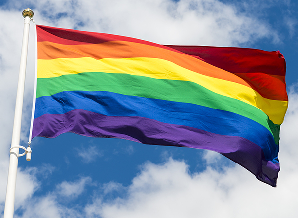 Don't delay to assent to the anti-LGBTQ+ Bill like you did to E-Levy - An Apostle to Mahama
