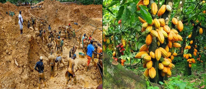 A file photo of high-tech galamsey and cocoa