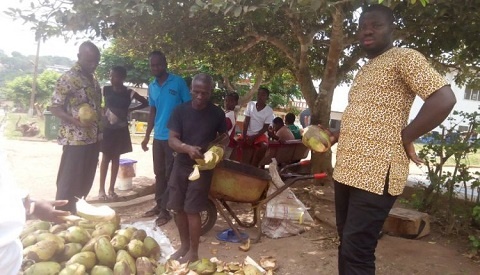 Nyadu Kwasi, in his blind state has been selling coconuts for the past 15 years