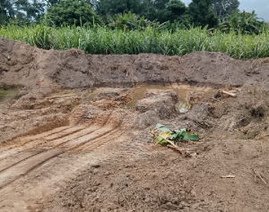 The crops, which were nearing harvest, were flattened by excavators