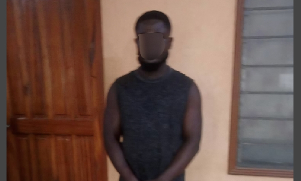 Prince Agyapong in police custody