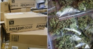 Amazon Marijuana