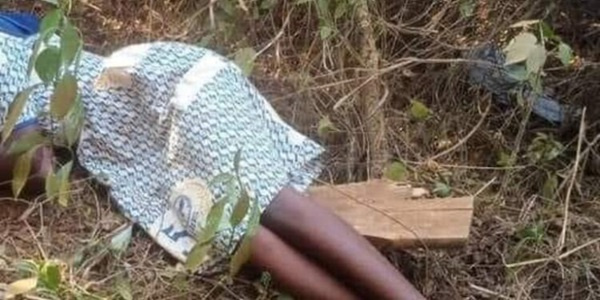Young girl found alive with her hands and legs tied and abandoned in a bush