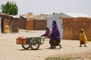 A woman and young girl displaced by Boko Haram attacks push a cart in Dikwa, Borno State