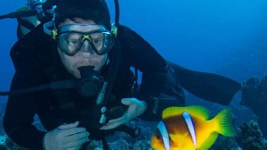 A scuba diver admires fish at the seabed. PHOTO | FILE