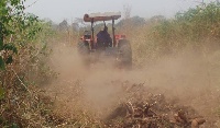 Cassava harvester