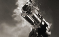 File: It is an offence for citizens to brandish their guns in public without approval