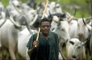 fulani herdsman