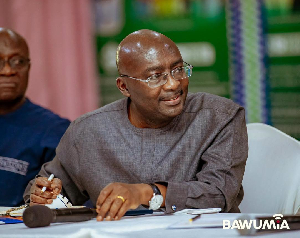 Dr Mahamudu Bawumia   24