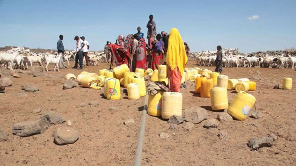 People queue for water in drought-hit Northern Kenya