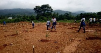 3,333 Cassia and Mahogany seedlings were planted to cover 30 hectares of degraded land