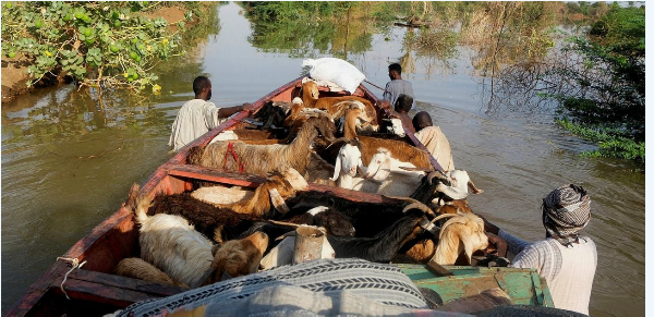 Men from Wad Ramli village, north of Khartoum, wade through floodwaters as residents evacuate