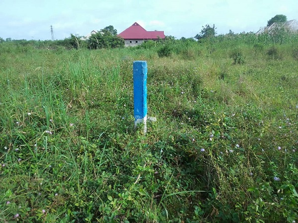 Forest reserve around the Barekese Dam