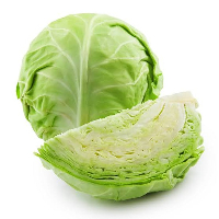 All cabbage samples failed to meet safety standards