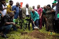 President Akufo-Addo is joined by Samuel Jinapor, others, to plant the tree