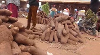 Tubers of yam at a market