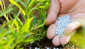 File photo of an organic fertilizer