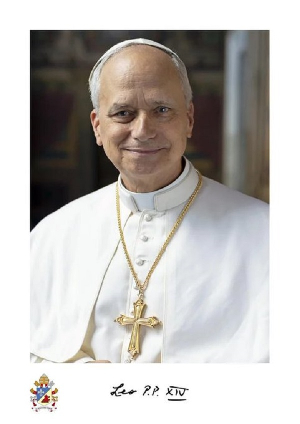 The official portrait will be displayed in Vatican buildings and diocesan offices worldwide