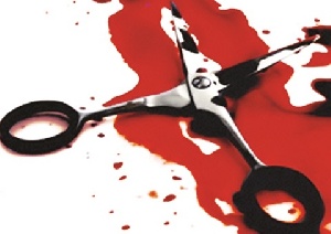 Scissors Murder 1