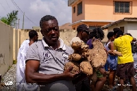 Constituents were able to walk home with 5 tubers of yam, at GHS20