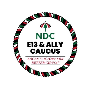 The logo of NDC's E13 and ally caucus