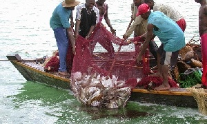 Some fisher folk harvesting a catch at sea