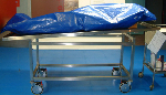 Suspect in stepdaughter defilement case dies in police cell