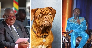 Prophet Badu Kobi said a brown dog pissed at every stage of Akufo-Addo's presidency journey