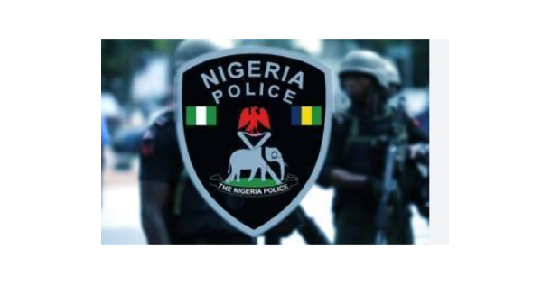 Nigerian authorities are reforming the country's police force