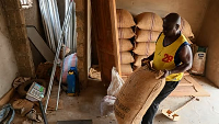 A purchasing clerk weighs a bag of cocoa in Kona