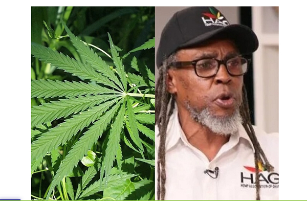 Nana Kwaku Agyemang is Chief Executive Officer of HEMPIRE Agric Ghana Limited