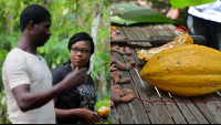 Thomas shared the history about the farm with GhanaWeb