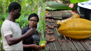 Thomas shared the history about the farm with GhanaWeb