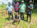 Federation of Coconut farmers executives inspect ongoing coconut farms in Volta, Oti Regions Federation of Coconut farmers executives inspect ongoing coconut farms in Volta, Oti Regions