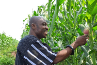 Nana Kumasah Krampah II, the Omankrado of Gomoa Asempayin