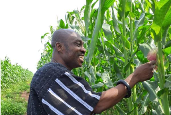 Nana Kumasah Krampah II, the Omankrado of Gomoa Asempayin