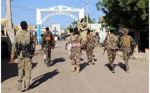 Al-Shabab has in recent months regrouped and launched a series of counter-attacks