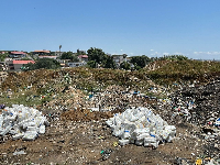 A photo of the confiscated diapers