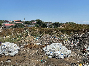 A photograph  of the confiscated diapers