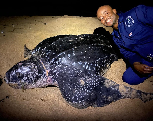 Executive Director Of WHRO, Dr Andrews Agyekumhene In A Photograph With A Turtle.jpeg