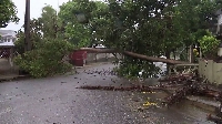 A tree lays across a street in Quelimane on Sunday after Freddy made its second landfall in Mozambiq
