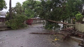 A tree lays across a street in Quelimane on Sunday after Freddy made its second landfall in Mozambiq