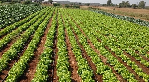 Farming is the main occupation for most rural communities in Ghana