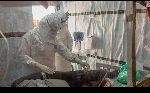 Confirmed Ebola cases in DR Congo rise to 1,502