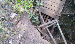 Screenshot 2026 02 14 133312.png