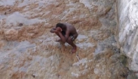 One of the residents captured on camera defecating in the open at the beach