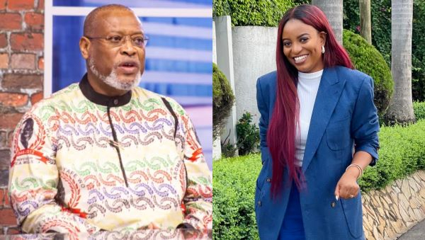 Alex Segbefia (L) and Maame Ama Pratt (R) have been appointed to Office of the Vice President