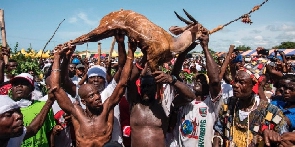 A file photo of some members of Asafo carrying a deer for Aboakyer