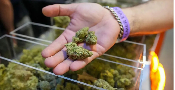 A majority of US states allow cannabis to be used for some medical purposes